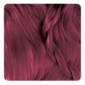 رنگ موی شرابی قرمز ماهگونی روشن شماره 5/65 حجم 100 میلی لیتربیول BIO'L