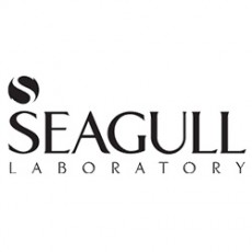 سی گل Seagull