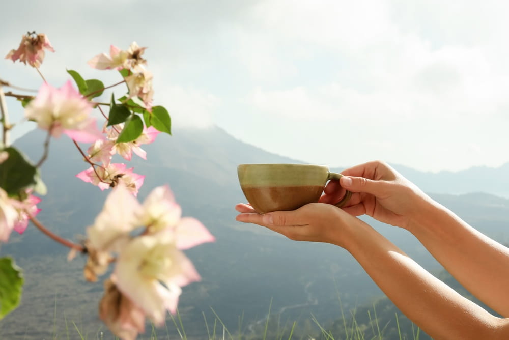 عوارض جانبی، خطرات و نبایدهای مصرف چای کوهی